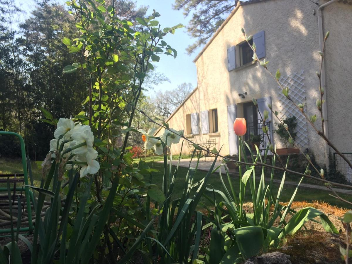 Les Volets Lavande Aubignan Bagian luar foto